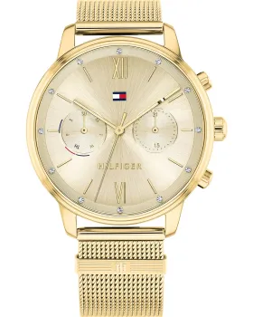 Tommy Hilfiger Blake 1782302