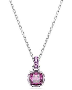 Swarovski Κολιέ Birthstone 5651708